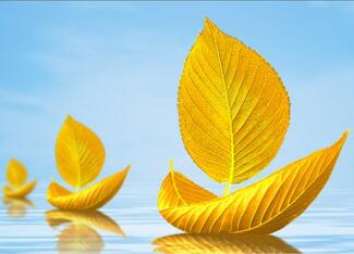 �������繫˾ָ��վ�����±༭����