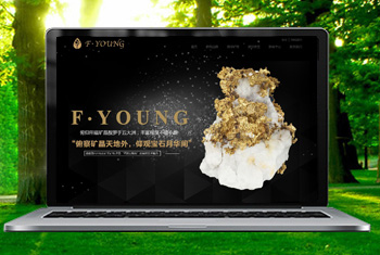 ƽ���������ﱦʯ